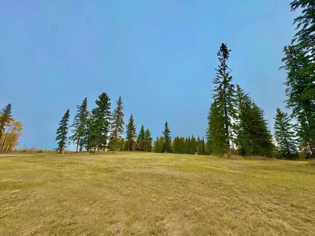 308 Valley View Drive Rural Clearwater County AB T4T 1A7