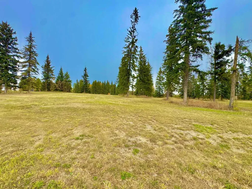 308 Valley View Drive Rural Clearwater County AB T4T 1A7