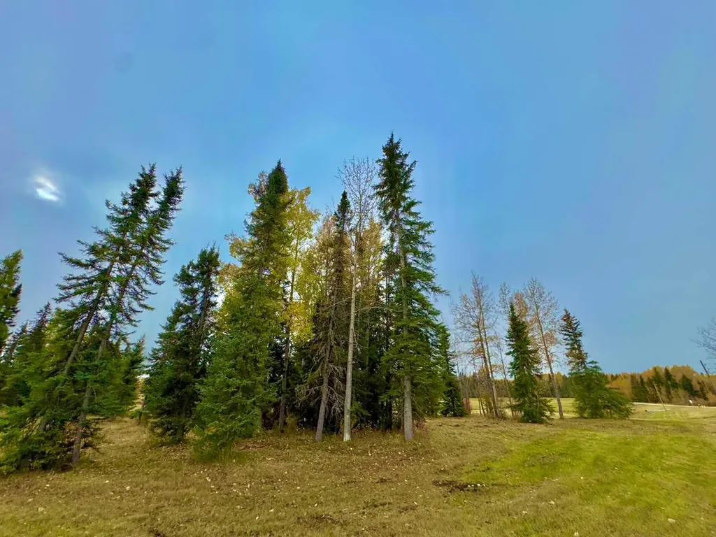 401 Valley View Close Rural Clearwater County AB T4T 1A7