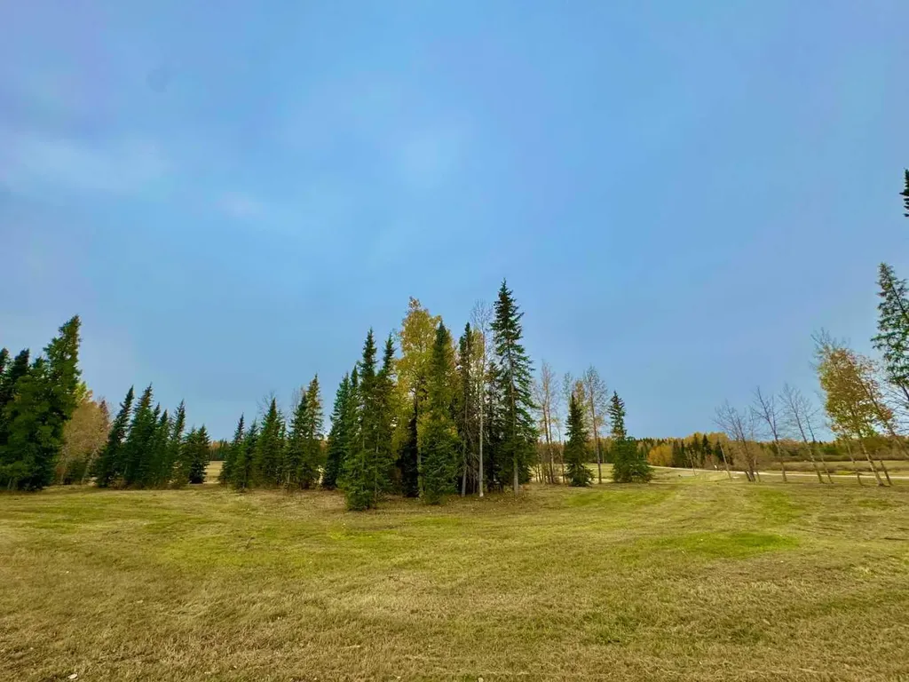 401 Valley View Close Rural Clearwater County AB T4T 1A7