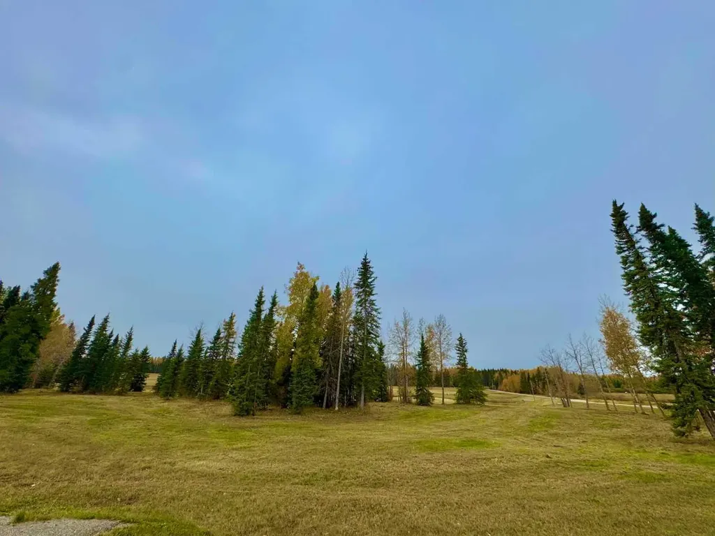 401 Valley View Close Rural Clearwater County AB T4T 1A7