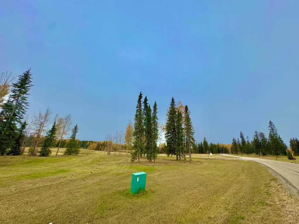 401 Valley View Close Rural Clearwater County AB T4T 1A7