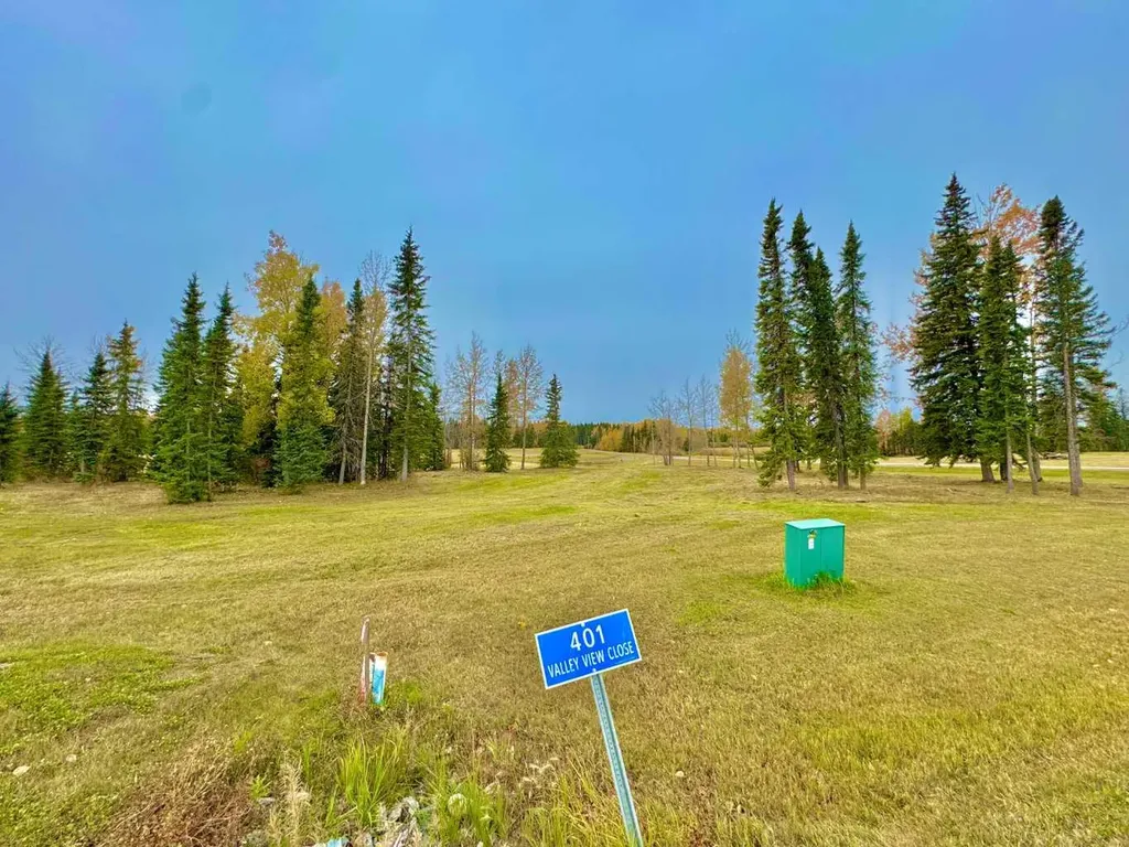 401 Valley View Close Rural Clearwater County AB T4T 1A7