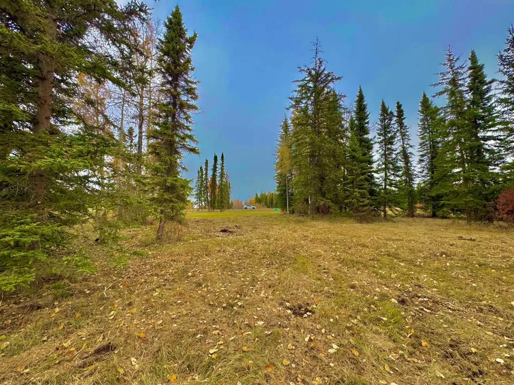 401 Valley View Close Rural Clearwater County AB T4T 1A7