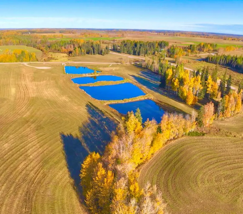 401 Valley View Close Rural Clearwater County AB T4T 1A7
