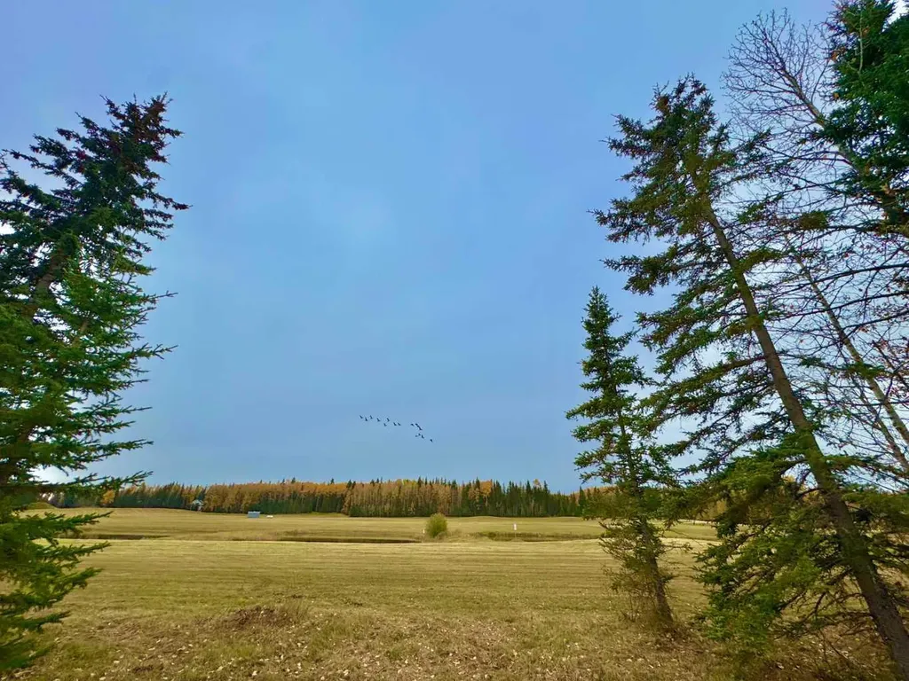 401 Valley View Close Rural Clearwater County AB T4T 1A7