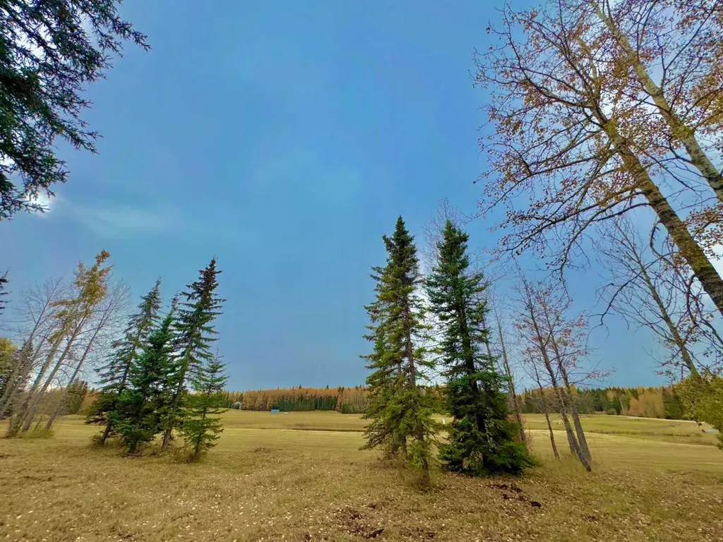 401 Valley View Close Rural Clearwater County AB T4T 1A7