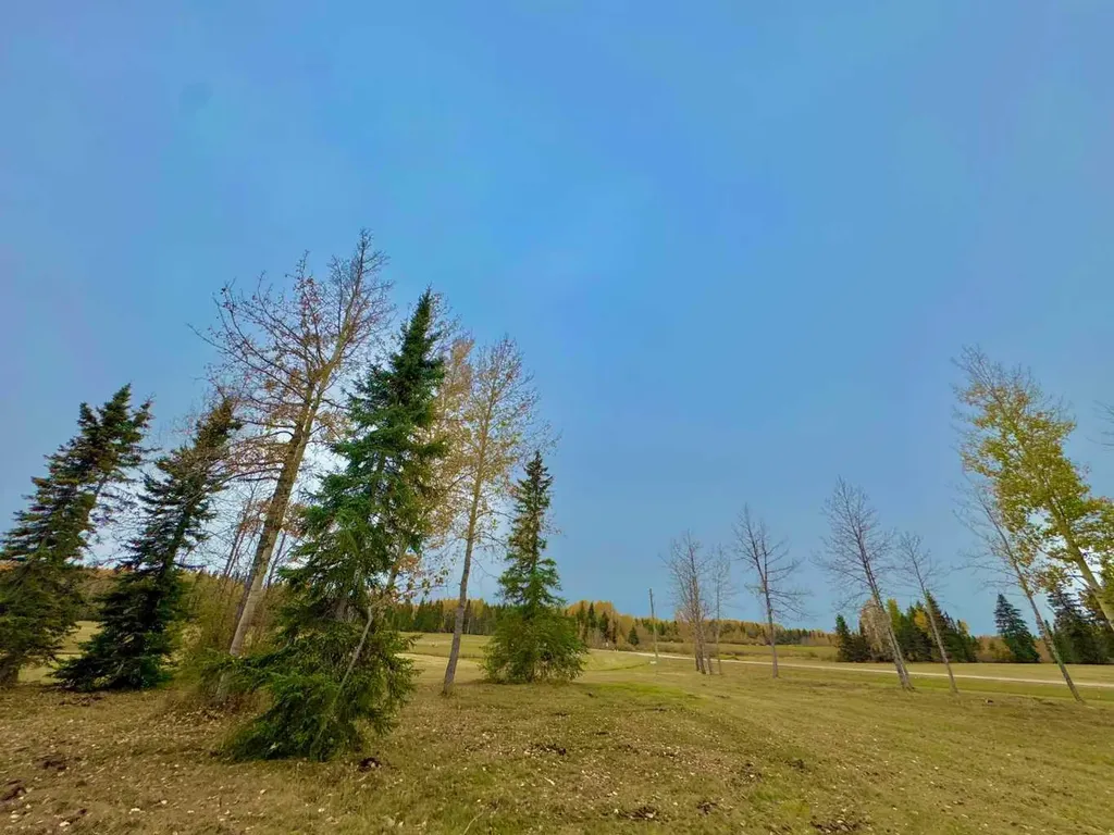 401 Valley View Close Rural Clearwater County AB T4T 1A7