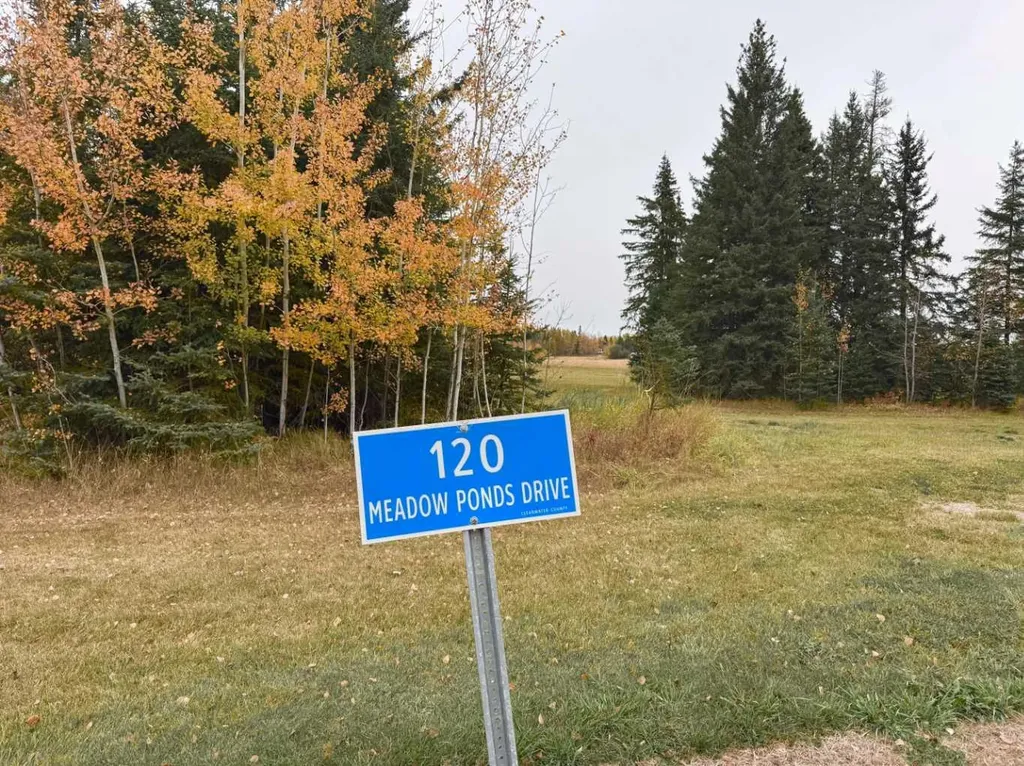 120 Meadow Ponds Drive Rural Clearwater County AB T4T 1A7