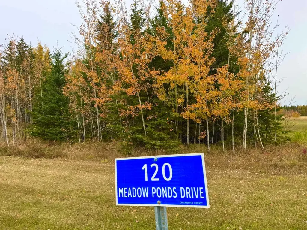 120 Meadow Ponds Drive Rural Clearwater County AB T4T 1A7