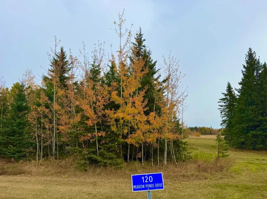 120 Meadow Ponds Drive Rural Clearwater County AB T4T 1A7