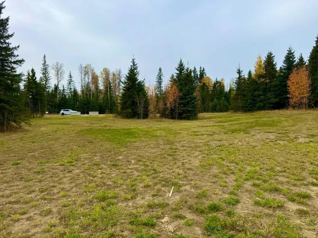 120 Meadow Ponds Drive Rural Clearwater County AB T4T 1A7