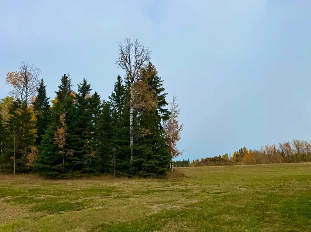 120 Meadow Ponds Drive Rural Clearwater County AB T4T 1A7