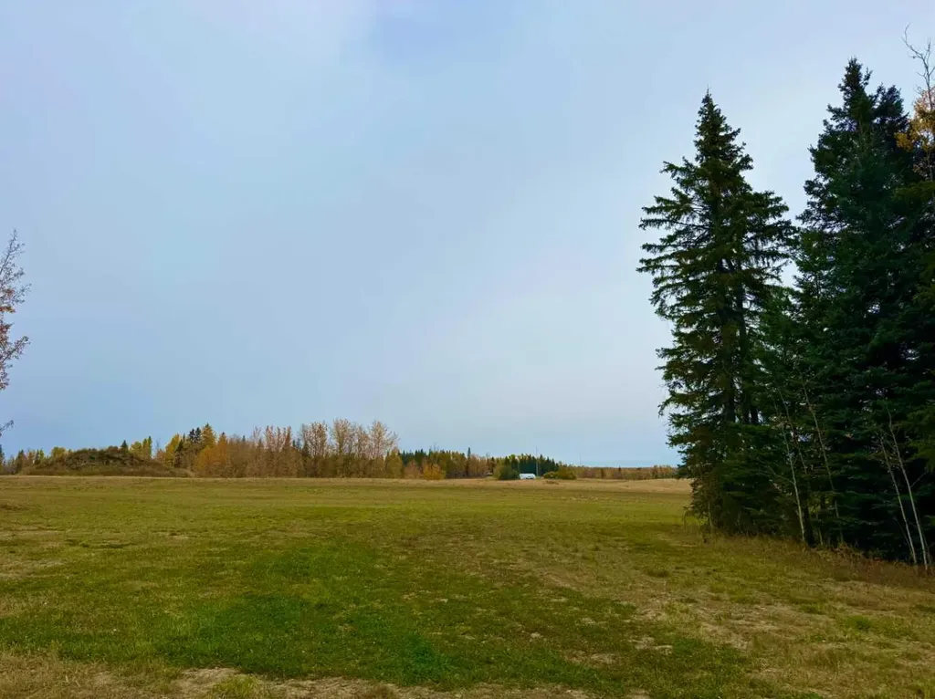 120 Meadow Ponds Drive Rural Clearwater County AB T4T 1A7