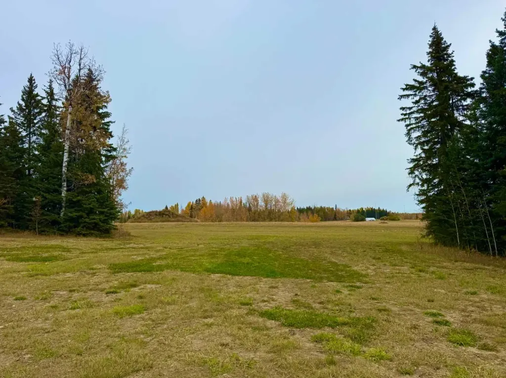 120 Meadow Ponds Drive Rural Clearwater County AB T4T 1A7