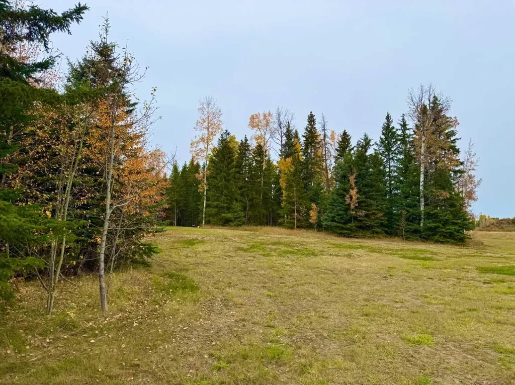 120 Meadow Ponds Drive Rural Clearwater County AB T4T 1A7