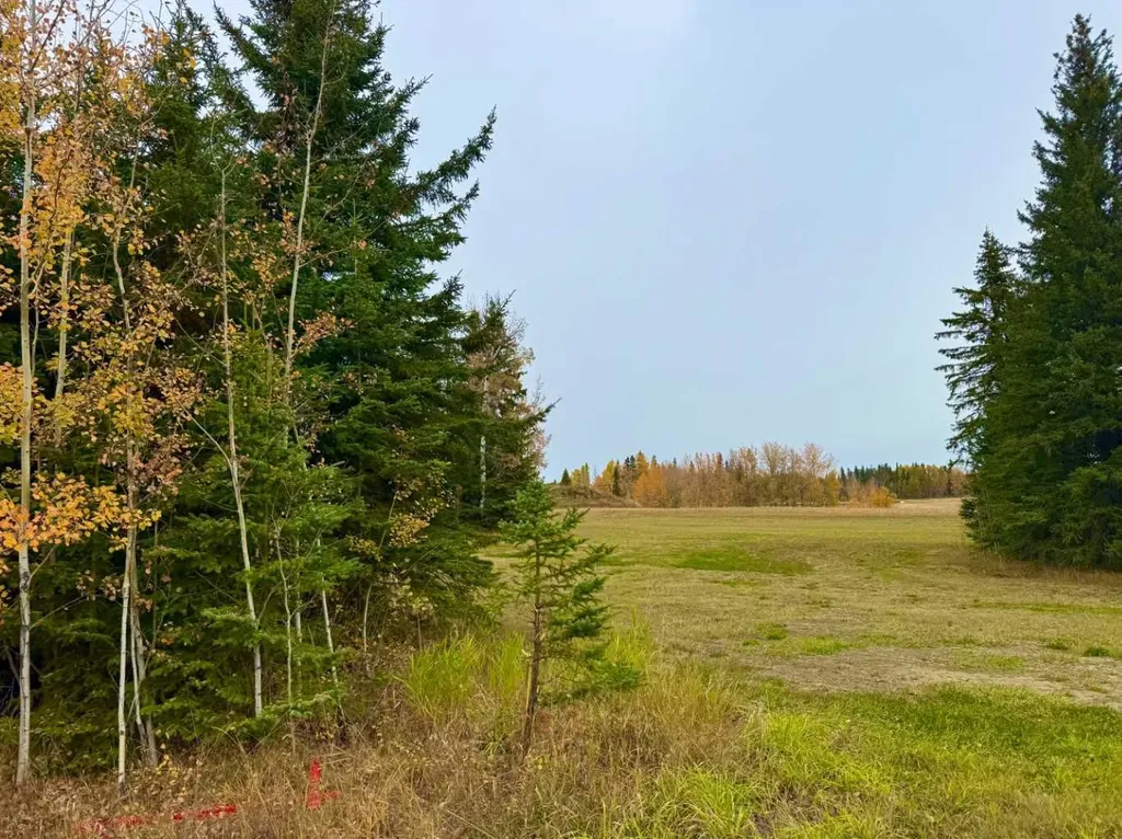 120 Meadow Ponds Drive Rural Clearwater County AB T4T 1A7