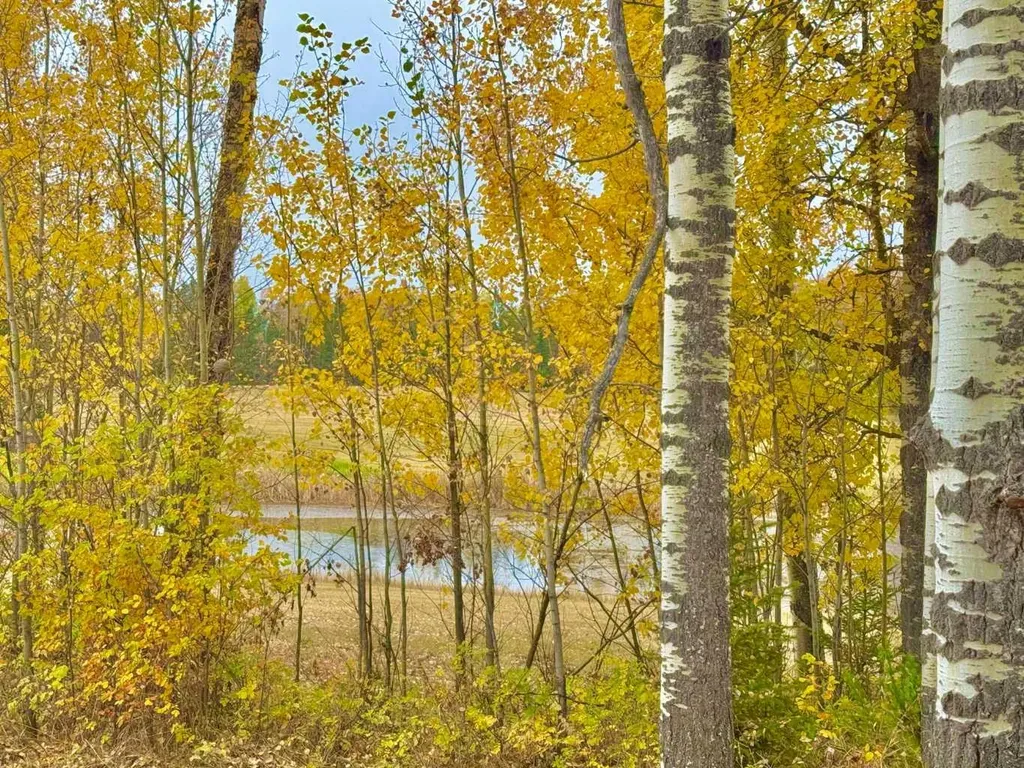 417 Valley View Close Rural Clearwater County AB T4T 1A7