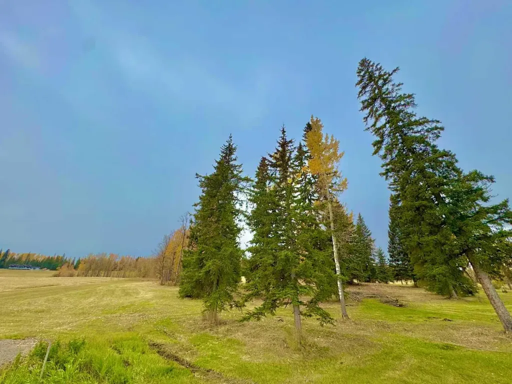 417 Valley View Close Rural Clearwater County AB T4T 1A7