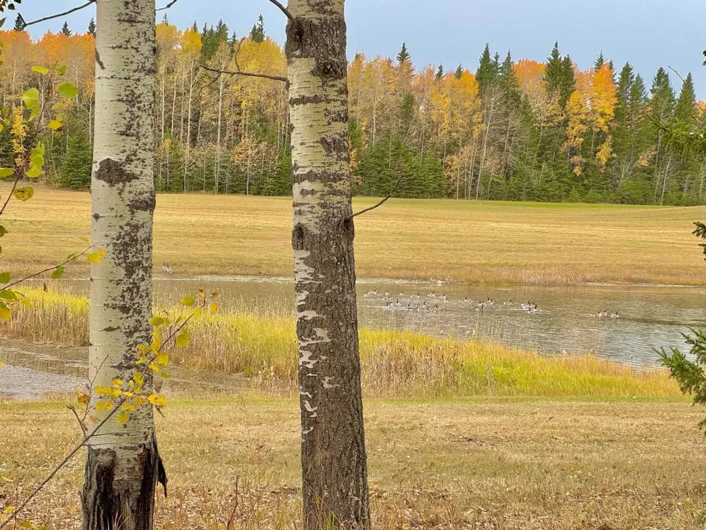 417 Valley View Close Rural Clearwater County AB T4T 1A7