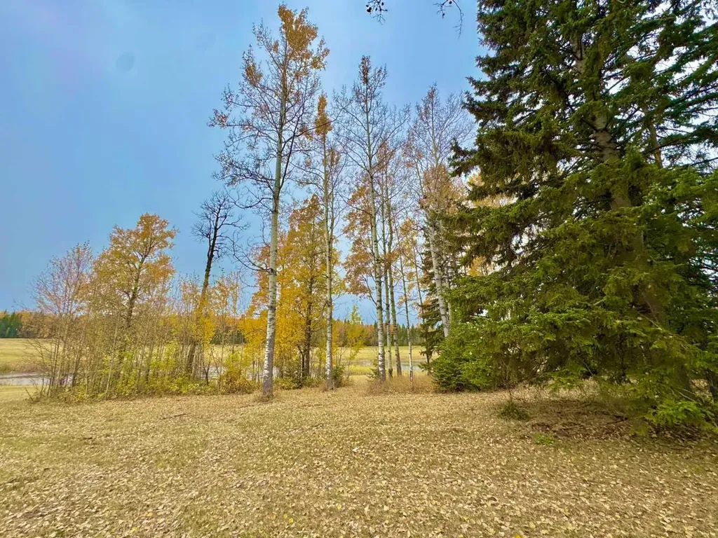 417 Valley View Close Rural Clearwater County AB T4T 1A7
