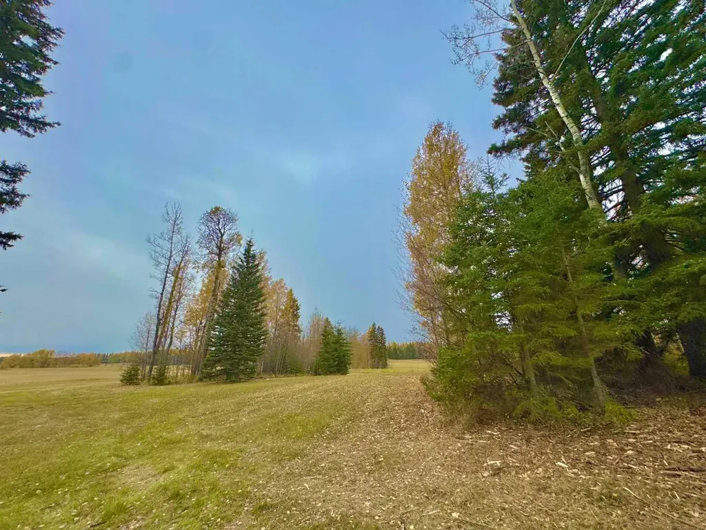 417 Valley View Close Rural Clearwater County AB T4T 1A7