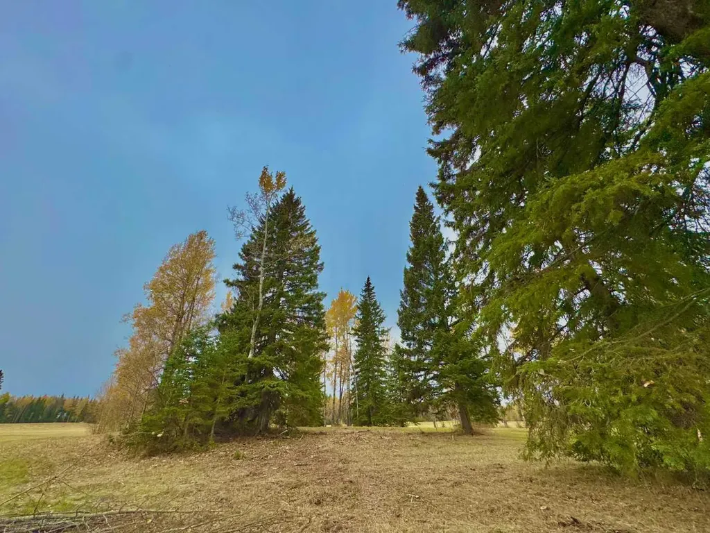 417 Valley View Close Rural Clearwater County AB T4T 1A7