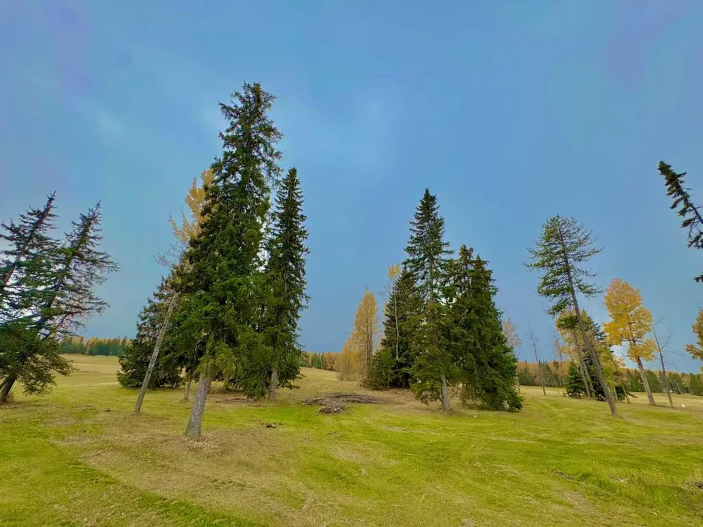 417 Valley View Close Rural Clearwater County AB T4T 1A7