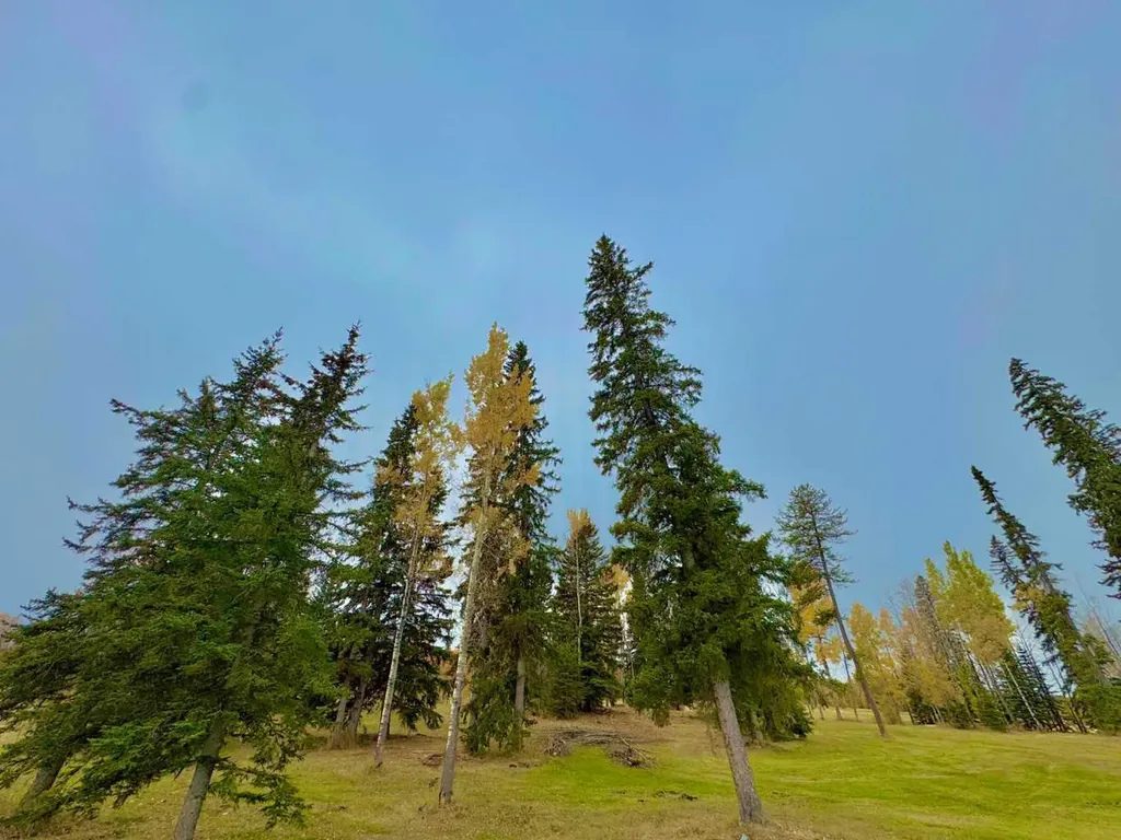 417 Valley View Close Rural Clearwater County AB T4T 1A7