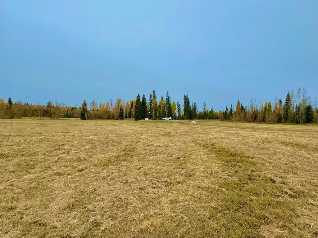 420 Valley View Close Rural Clearwater County AB T4T 1A7