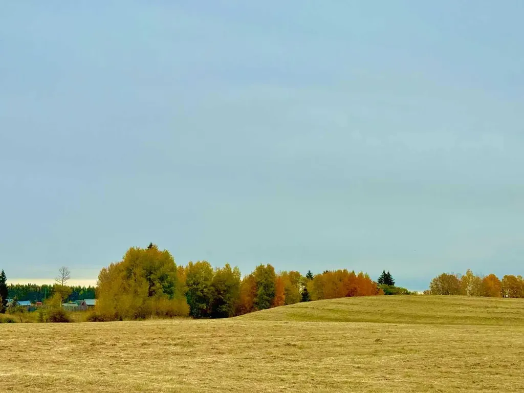 420 Valley View Close Rural Clearwater County AB T4T 1A7
