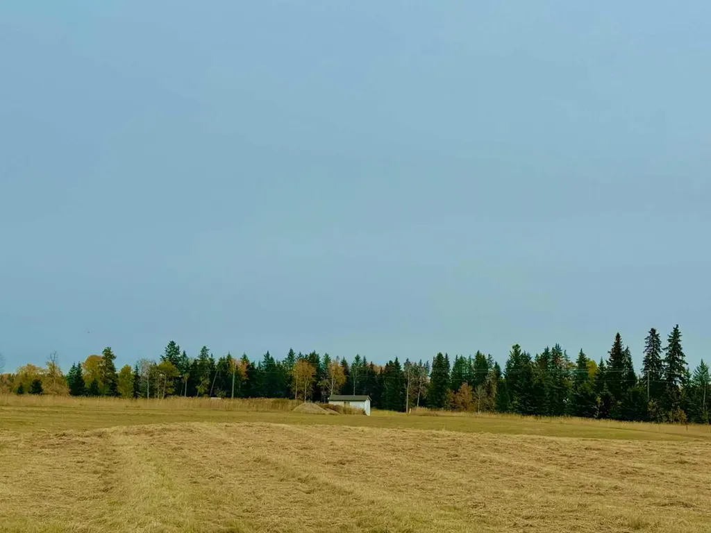 420 Valley View Close Rural Clearwater County AB T4T 1A7