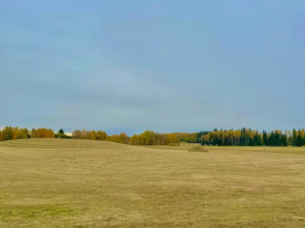 420 Valley View Close Rural Clearwater County AB T4T 1A7
