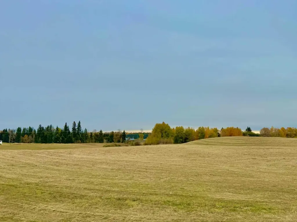 420 Valley View Close Rural Clearwater County AB T4T 1A7