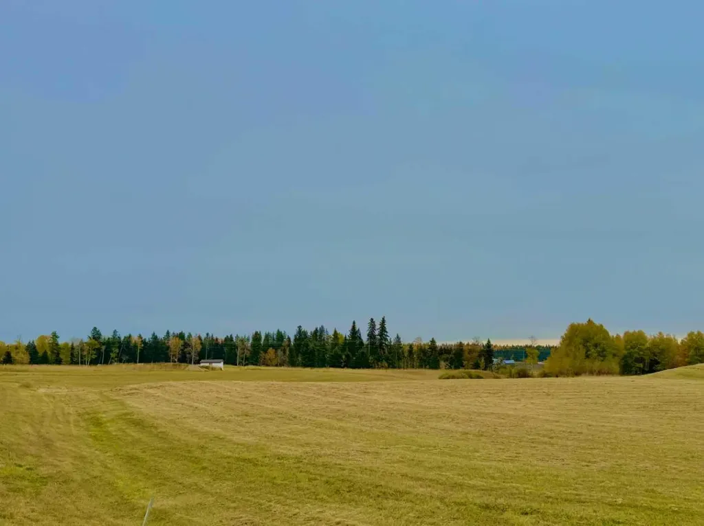 420 Valley View Close Rural Clearwater County AB T4T 1A7