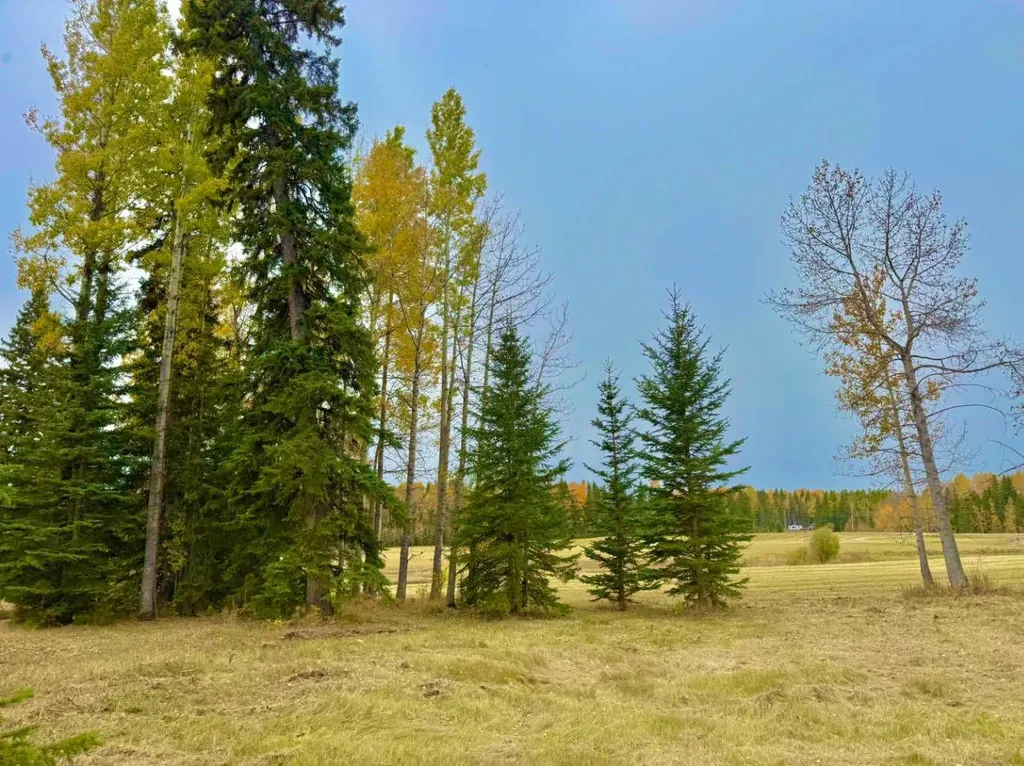 409 Valley View Close Rural Clearwater County AB T4T 1A7