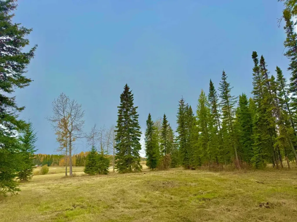 409 Valley View Close Rural Clearwater County AB T4T 1A7