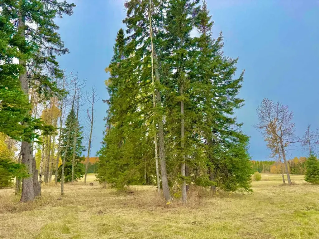 409 Valley View Close Rural Clearwater County AB T4T 1A7