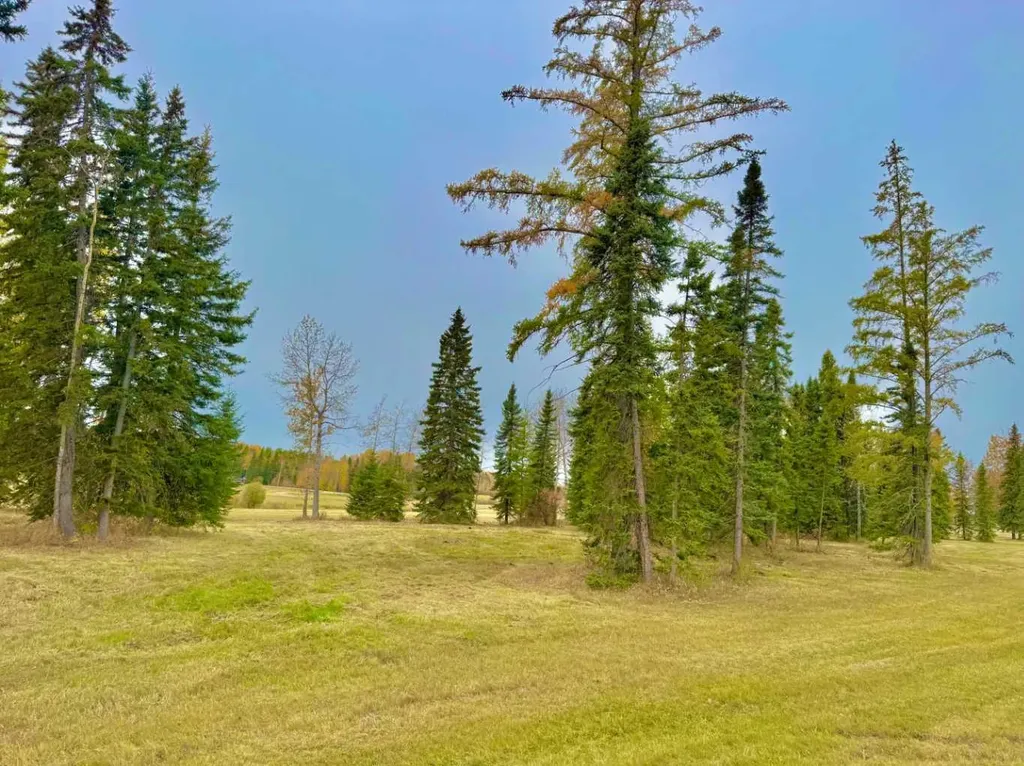409 Valley View Close Rural Clearwater County AB T4T 1A7