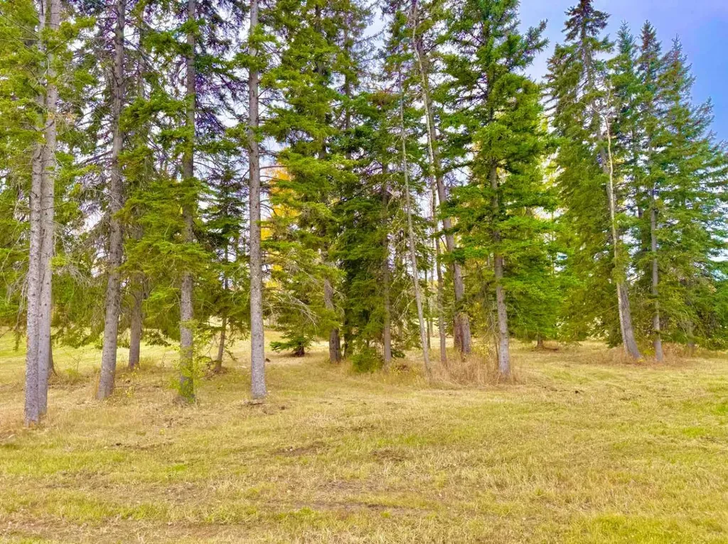 409 Valley View Close Rural Clearwater County AB T4T 1A7