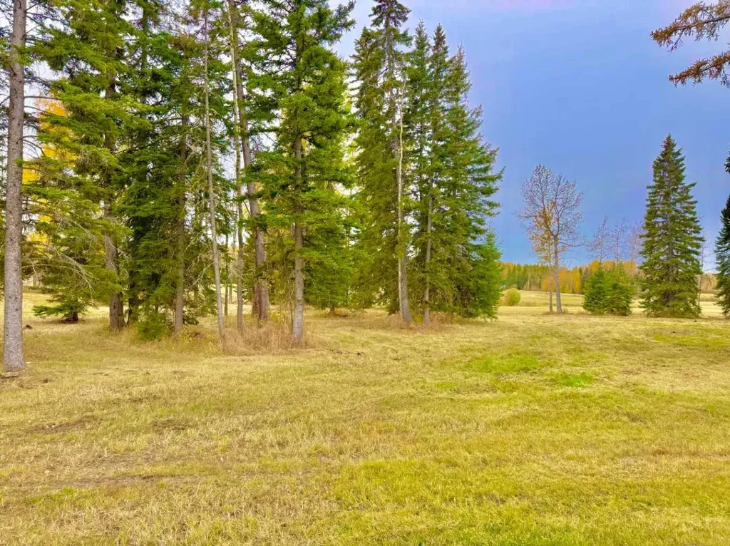409 Valley View Close Rural Clearwater County AB T4T 1A7