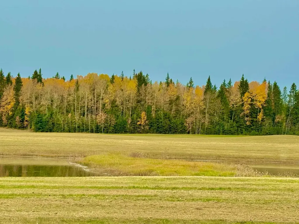 409 Valley View Close Rural Clearwater County AB T4T 1A7