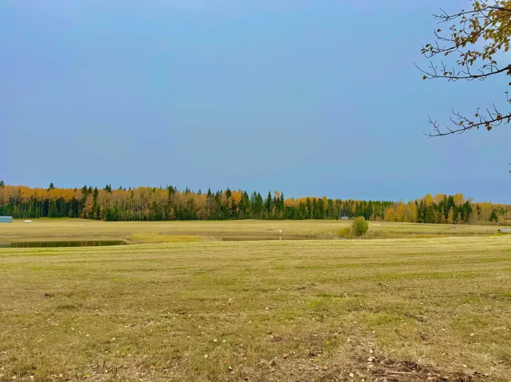 409 Valley View Close Rural Clearwater County AB T4T 1A7