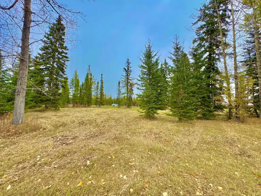 409 Valley View Close Rural Clearwater County AB T4T 1A7