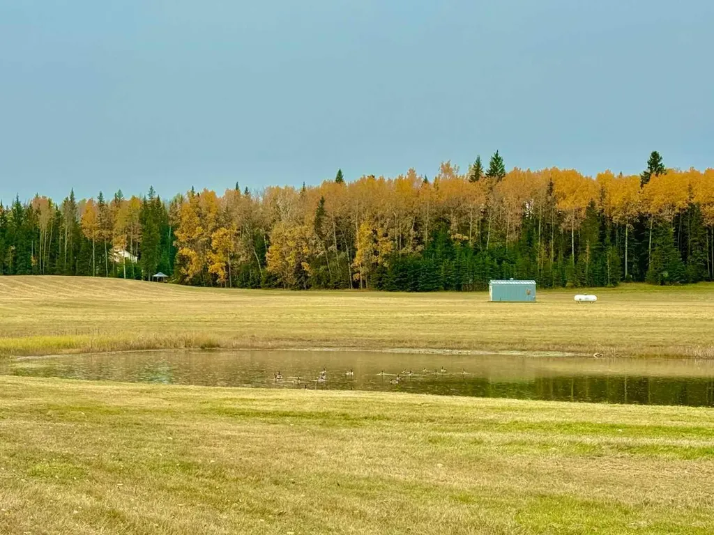 409 Valley View Close Rural Clearwater County AB T4T 1A7