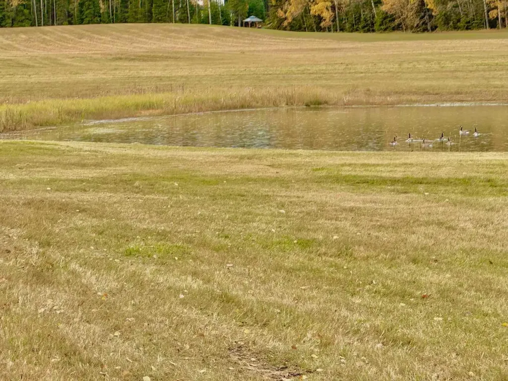 409 Valley View Close Rural Clearwater County AB T4T 1A7