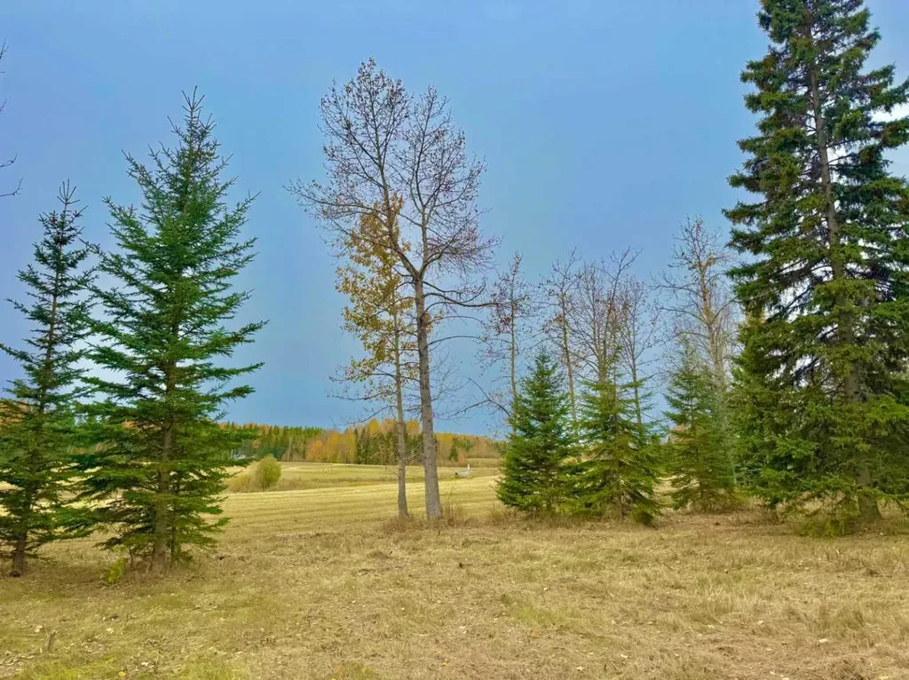 409 Valley View Close Rural Clearwater County AB T4T 1A7