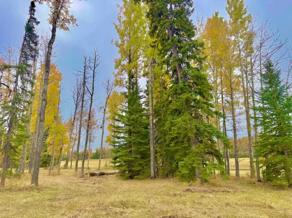409 Valley View Close Rural Clearwater County AB T4T 1A7