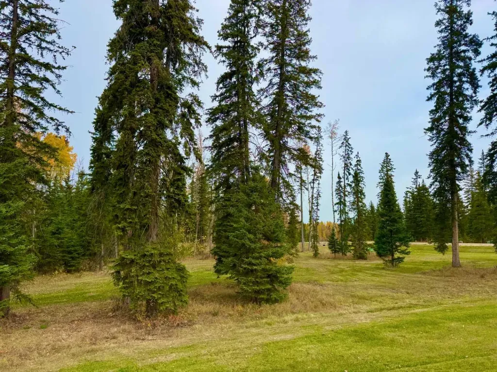 202 Meadow Ponds Drive Rural Clearwater County AB T4T 1A7