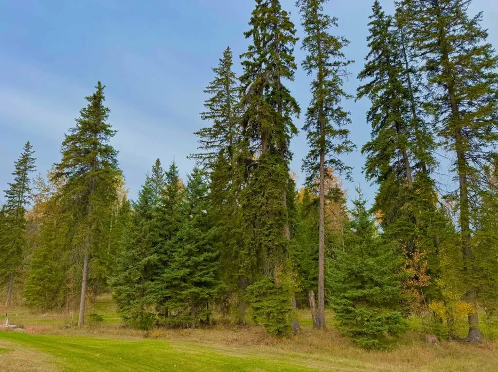 202 Meadow Ponds Drive Rural Clearwater County AB T4T 1A7